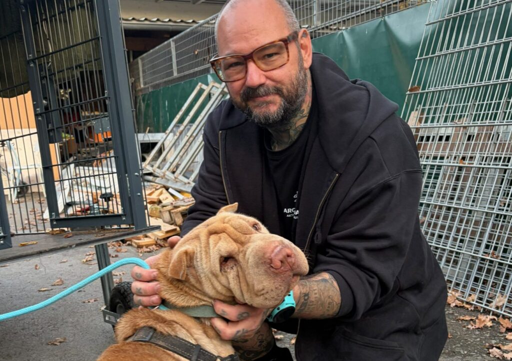 Tierpfleger Bernd kniet neben Shar-Pei Hündin Barbara und krault ihr den Kopf