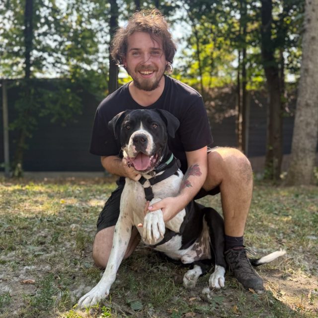 Mann mit kurzen Haaren kniet neben einem Hund im grünen Gras.