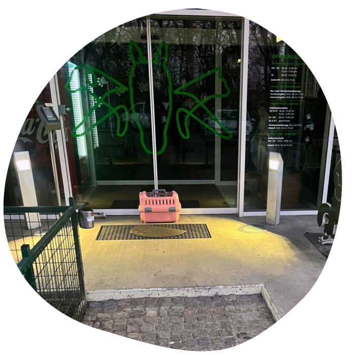 Eingang des Tierheims Arche Noah in Graz, mit einer rosa Transportbox davor.