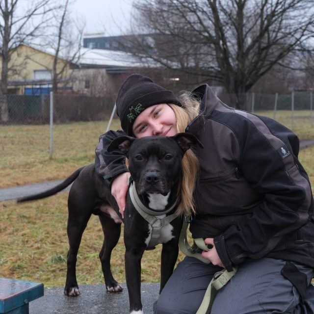 Mann mit kurzen Haaren kniet neben einem Hund im grünen Gras.