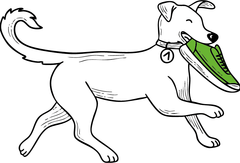 Hund mit grünem Laufschuh im Maul - Maskottchen des Tierschutzlaufs 'Tierschutz läuft 2025' der Arche Noah