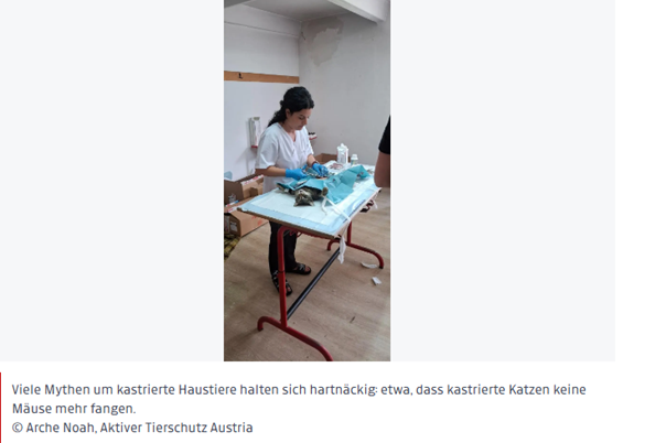 Ein Artikel über das Kastrationsprojekt der Arche Noah-Aktiver Tierschutz Austria in Rumänien.