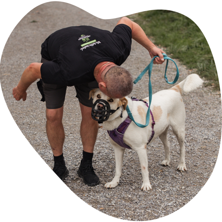 Mann küsst Tierheimhund auf die Stirn, der ein Maulkorb trägt.