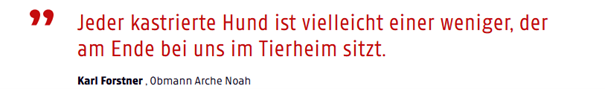 Ein Artikel über das Kastrationsprojekt der Arche Noah-Aktiver Tierschutz Austria in Rumänien.