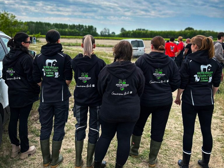 Das Team der Arche Noah - Aktiver Tierschutz Austria von hinten nach einem Einsatz.