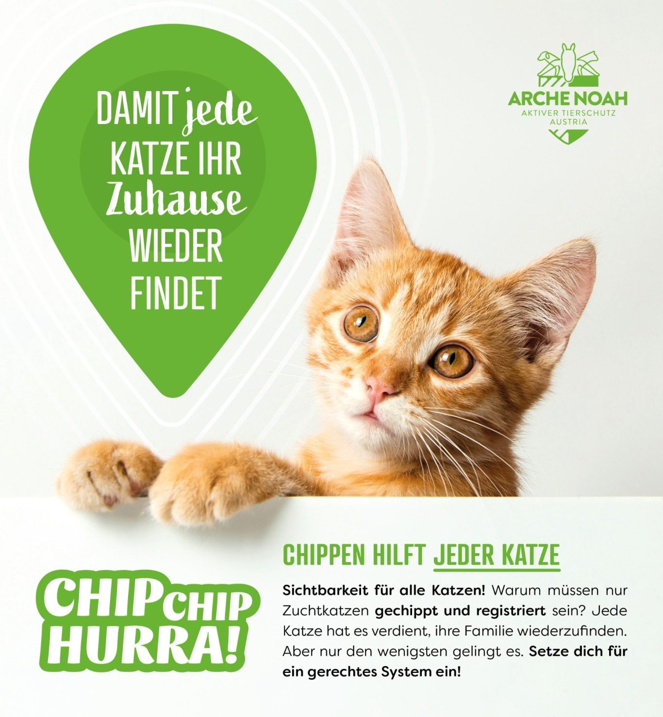 Petition zum Chippen von Katzen - damit jede Katze ihr Zuhause wieder findet.