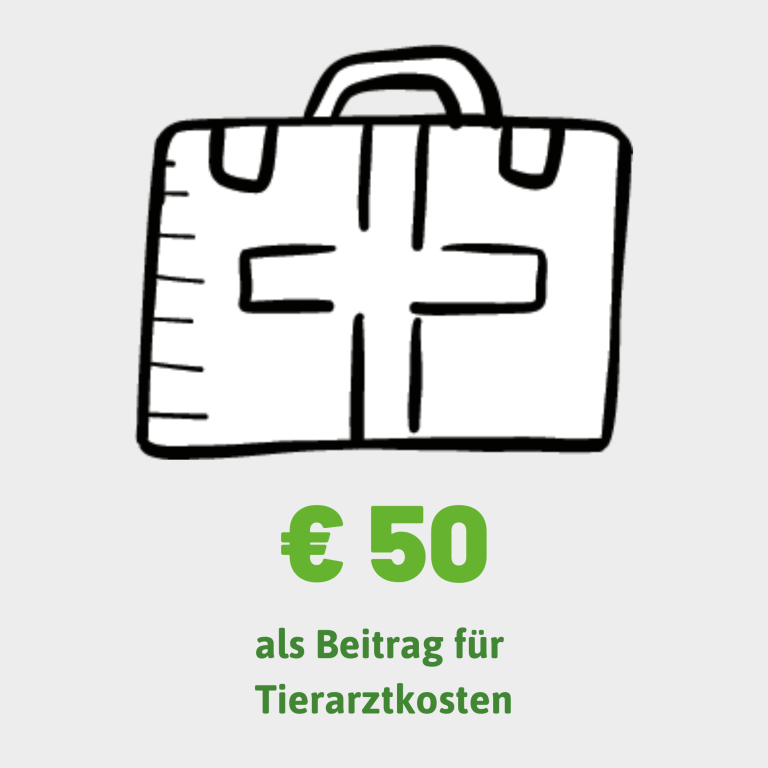 Eine einfache Zeichnung eines ersten-Hilfe-Koffers mit einem Kreuz auf der Vorderseite.