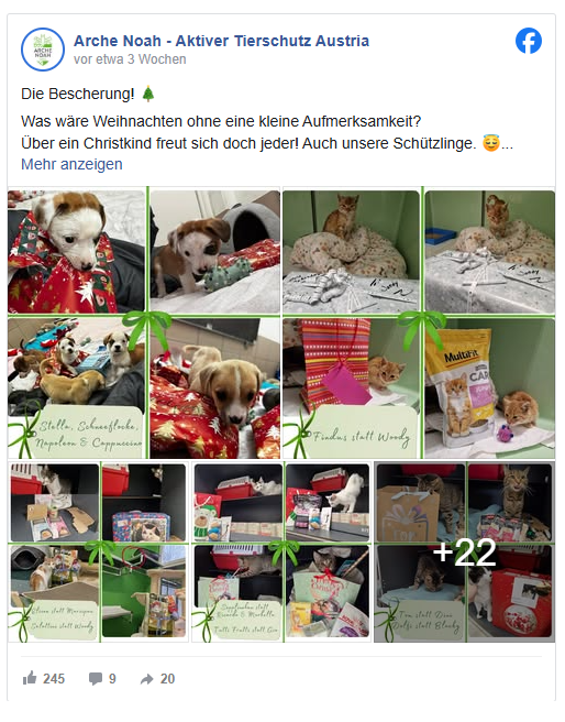 Mehrere Hunde in verschiedenen Situationen, umgeben von Geschenken und Weihnachtsdekoration.