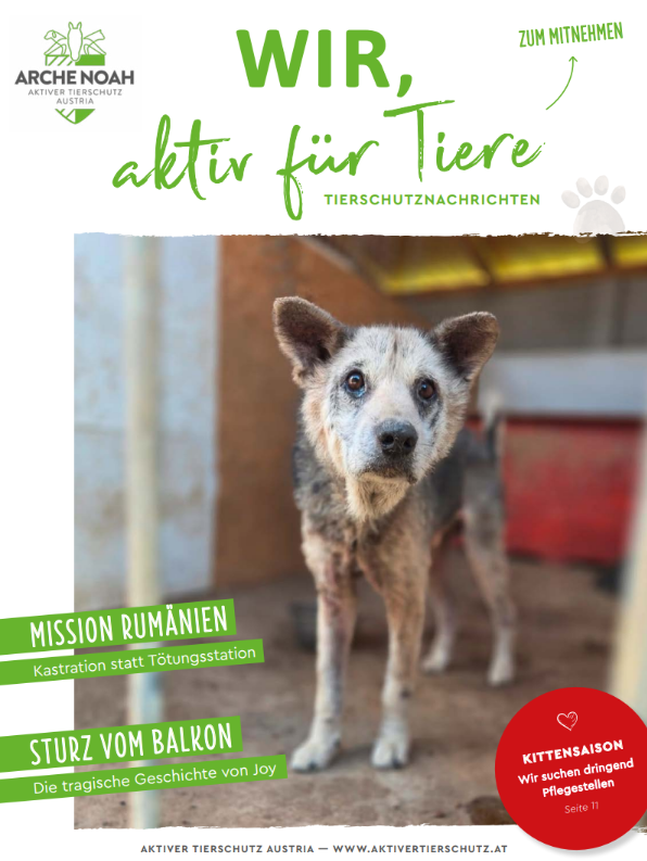 Das Cover der April-Ausgabe der Tierschutznachrichten der Arche Noah. Zu sehen ist eine Frau mit Pferd im Freien, umgeben von Natur.
