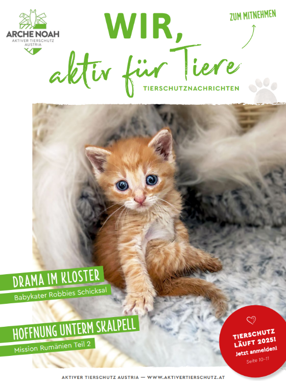 Das Cover der April-Ausgabe der Tierschutznachrichten der Arche Noah. Zu sehen ist eine Frau mit Pferd im Freien, umgeben von Natur.