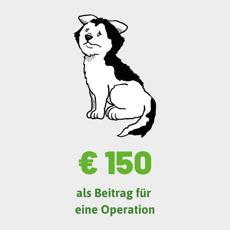 Sitzender, trauriger Hund mit Text: "€ 150 als Beitrag für eine Operation."