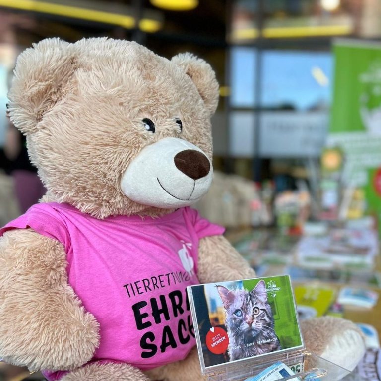 Ein großer, plüschiger Teddybär in einem pinken Tierrettungs-Shirt sitzt auf einem Tisch mit einer Spendenbox.