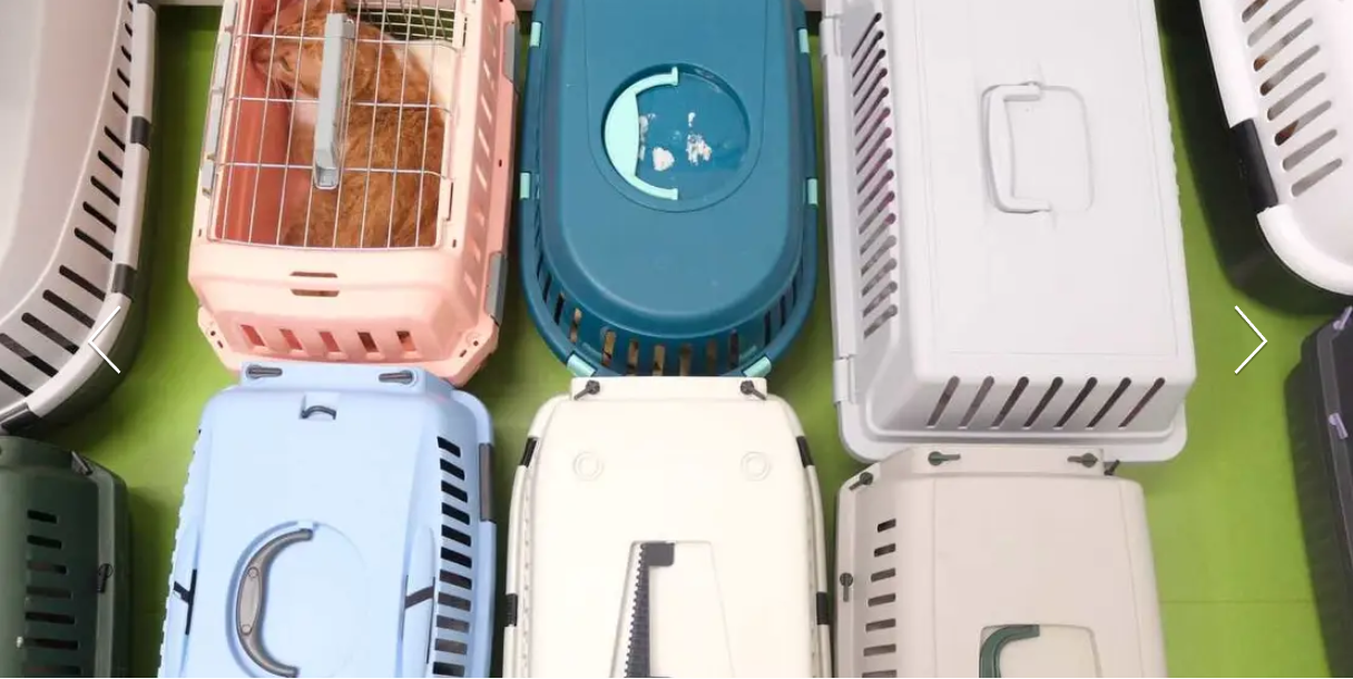 Mehrere Transportboxen für Haustiere in verschiedenen Farben und Designs.