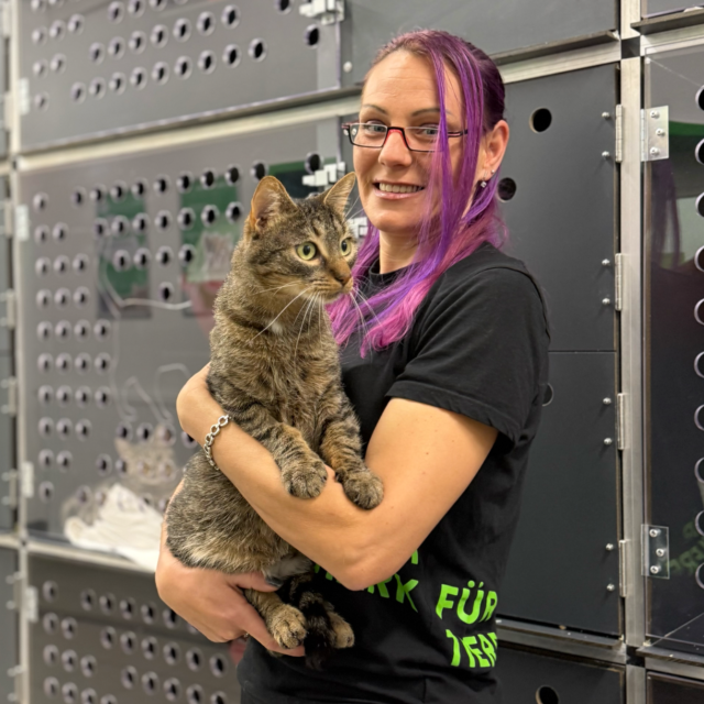 Mann mit kurzen Haaren kniet neben einem Hund im grünen Gras.