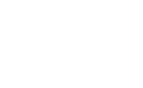 Schematische Illustration eines Katzengesichtes