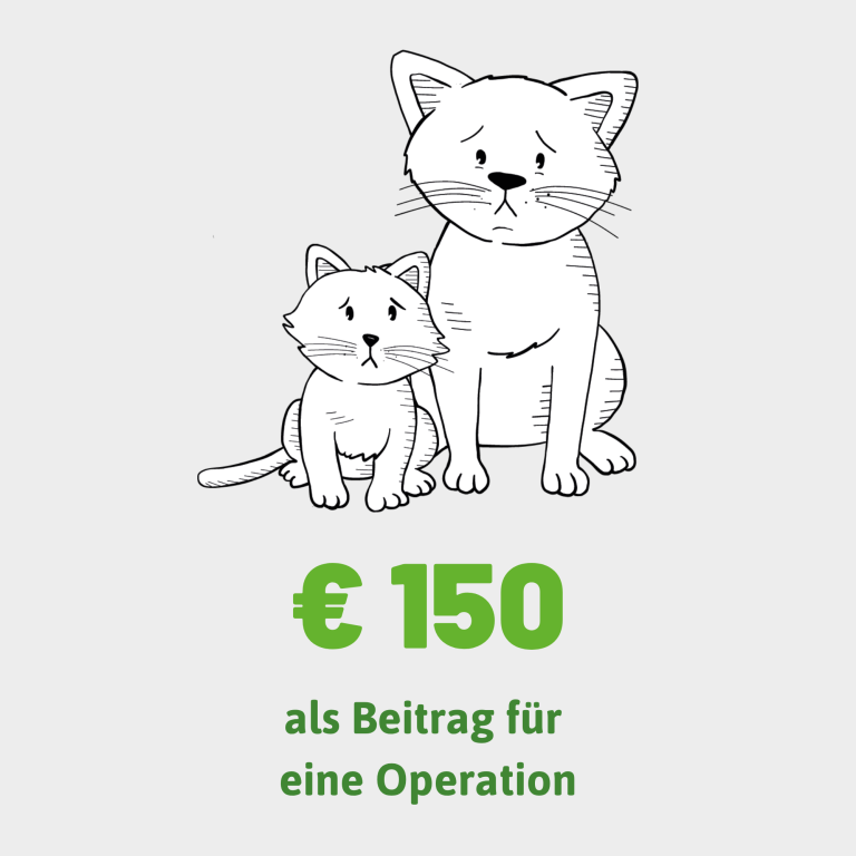 Eine traurige erwachsene und ein kleines Kätzchen sitzen zusammen.