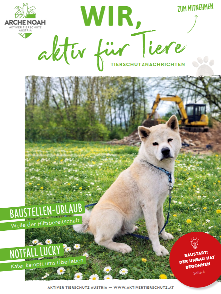 Tierschutznachrichten Ausgabe April 2025 Das Cover der April-Ausgabe der Tierschutznachrichten der Arche Noah. Zu sehen ist eine Frau mit Pferd im Freien, umgeben von Natur.