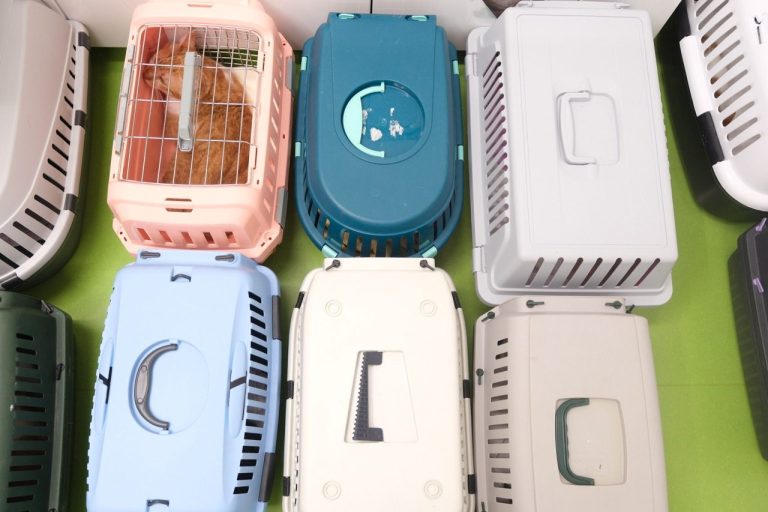 Mehrere Transportboxen für Haustiere in verschiedenen Farben und Größen.