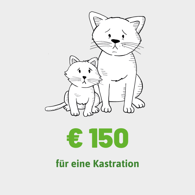 Eine traurige erwachsene und ein kleines Kätzchen sitzen zusammen.