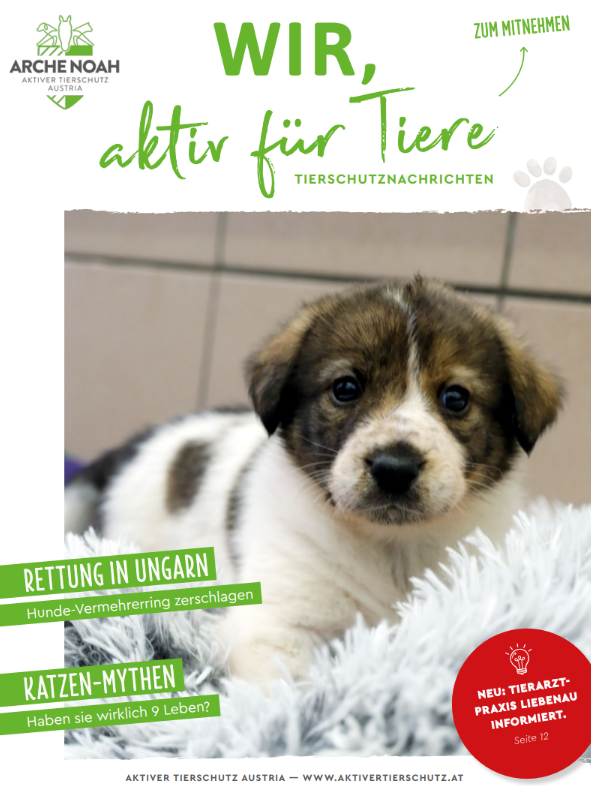 Tierschutznachrichten Ausgabe April 2025 Das Cover der April-Ausgabe der Tierschutznachrichten der Arche Noah. Zu sehen ist eine Frau mit Pferd im Freien, umgeben von Natur.