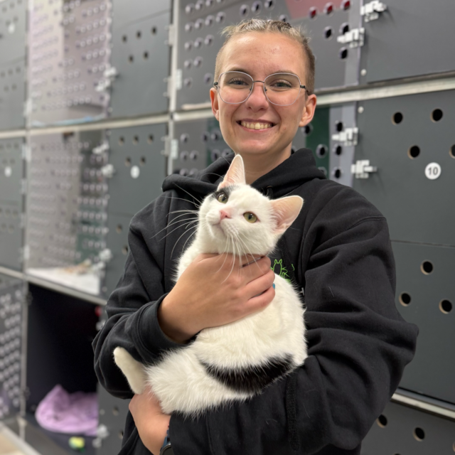 Mann mit kurzen Haaren kniet neben einem Hund im grünen Gras.
