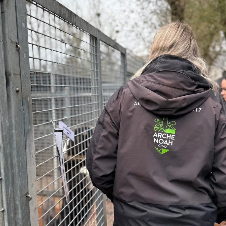 Person in schwarzer Jacke mit Arche Noah-Logo steht vor einem Hundezwinger.